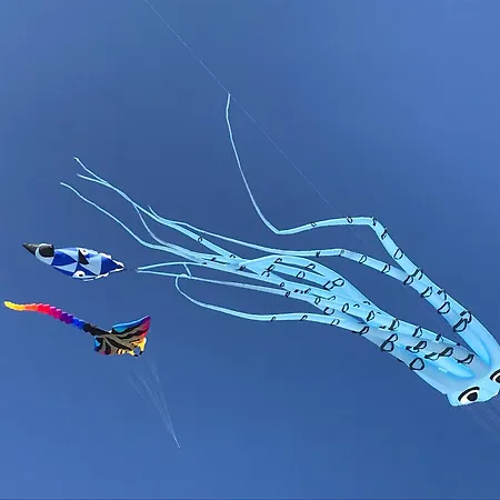 Daire La Barca 